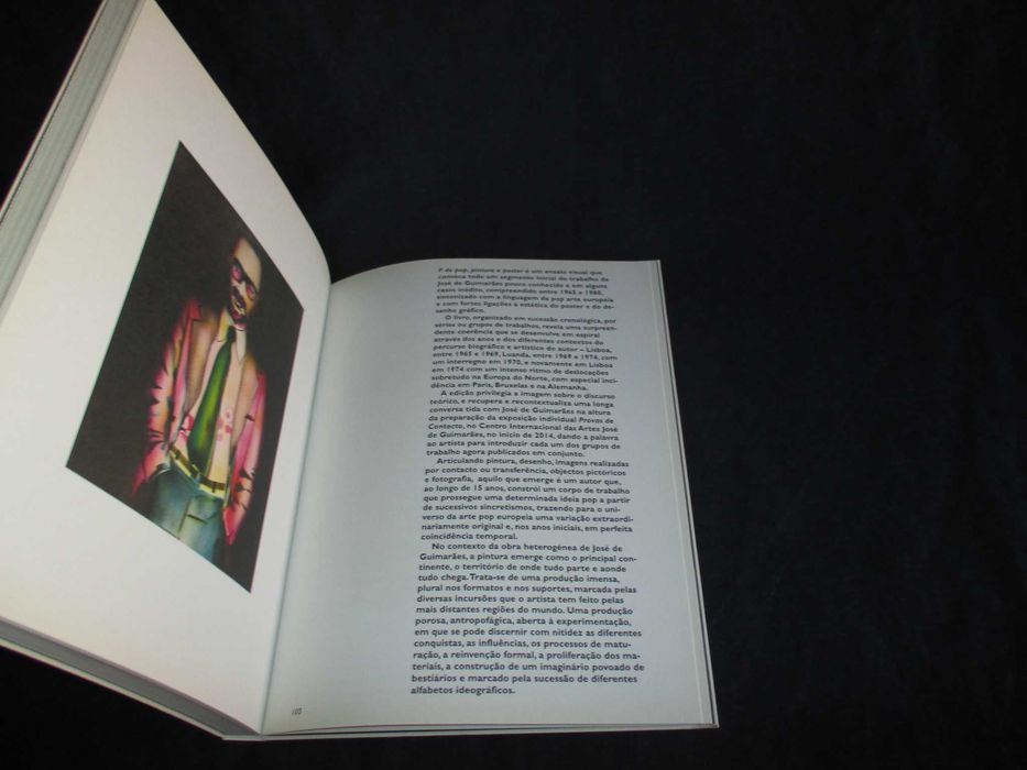 Livro P de Pop Pintura e Poster José de Guimarães