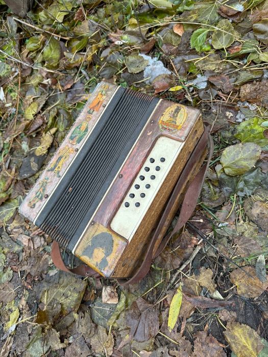 гармонь гармошка баян