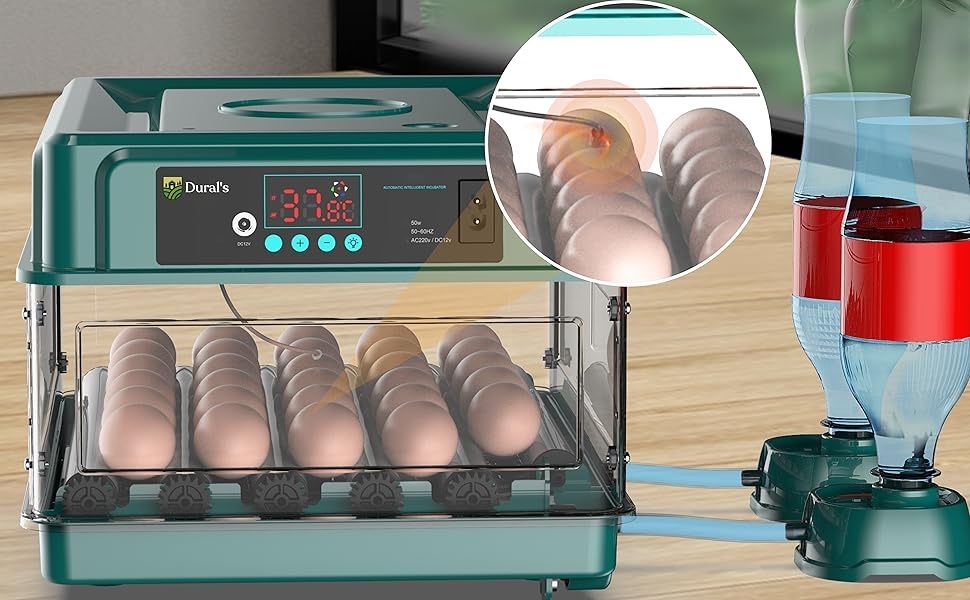 Dural's Automatyczny inkubator do jajek uniwersalny