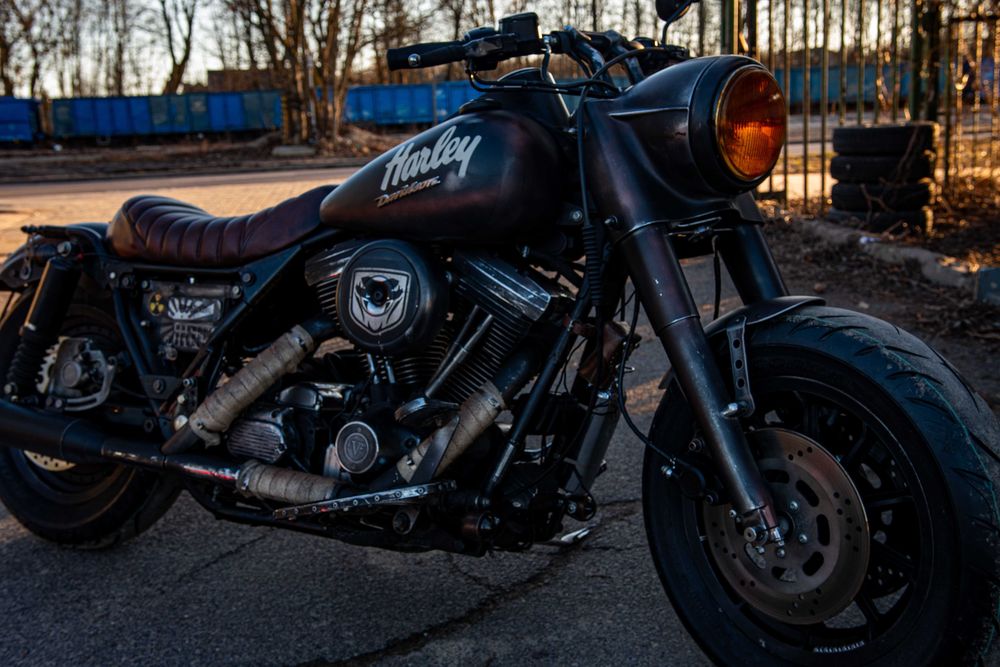 Harley-Davidson Custom, Evo, Electra, King, Dyna