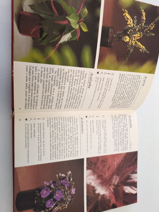 O Livro das Plantas de Rob Hervig e Claude Riou