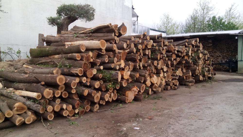 lenhas para lareira,pinhas, carvão limpeza de chaminés