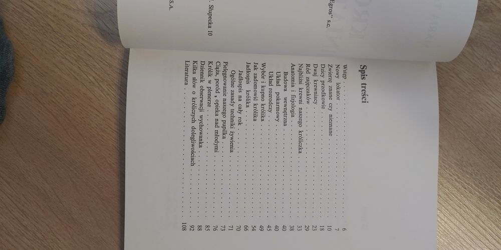 Krolik miniaturowy Maria Taborska