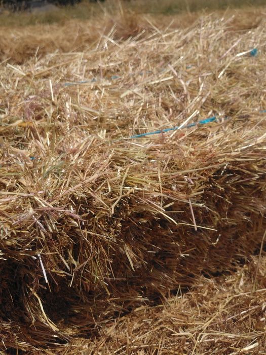 Fardos pequenos palha -  feno , mistura forrageira