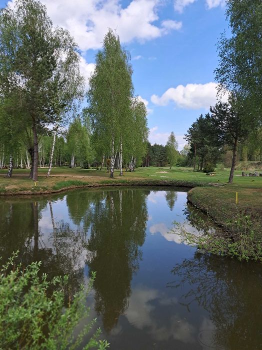 POLE GOLFOWE - SPRZEDAŻ - Golina Kolonia - k/Konina