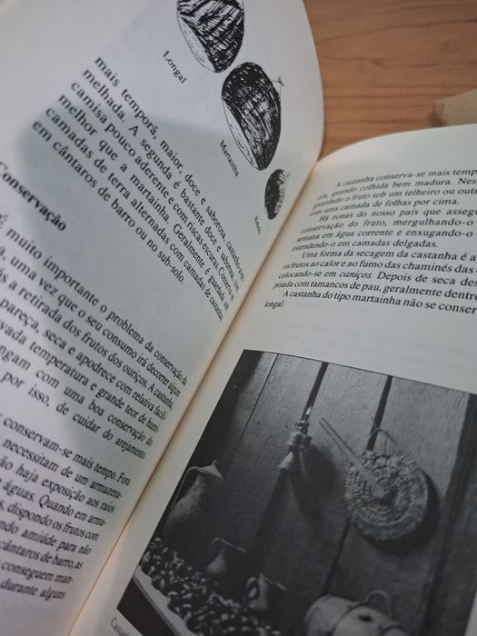 O Ciclo da Castanha por Terras de Trancoso