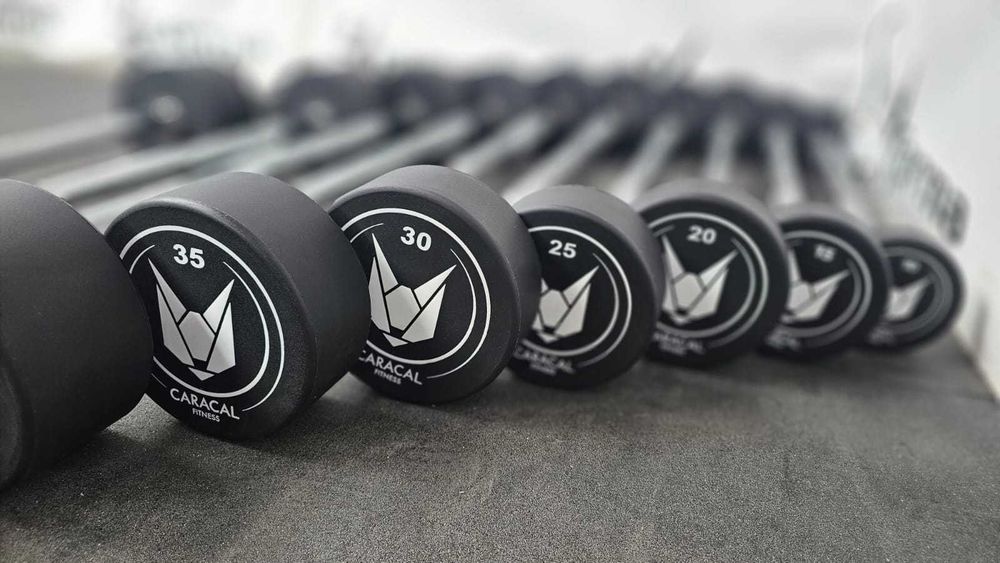 Sztangi Stałe Proste Zakres 10kg - 55kg Uretanowe Najwyższa Jakość!!