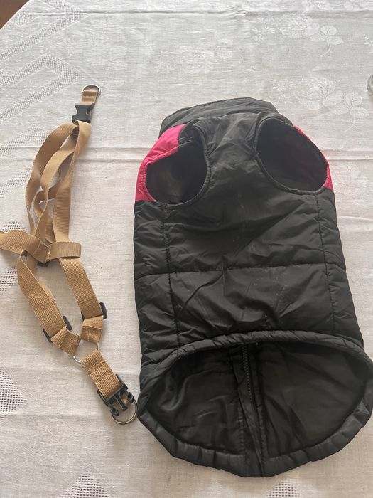 Szelki dla psa plus ubranko.