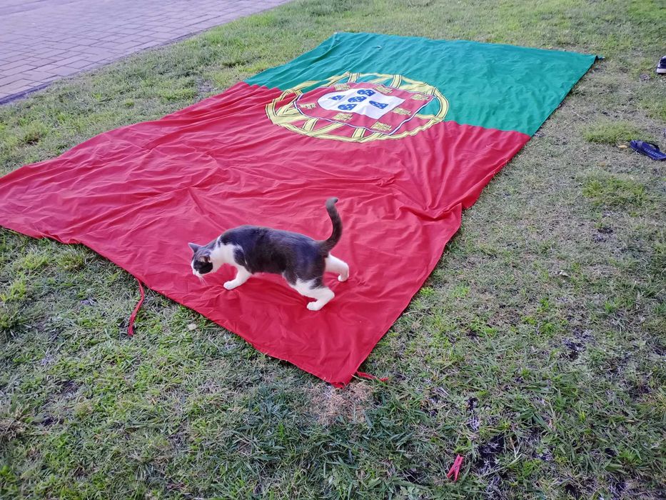 Bandeira de Portugal 3 metros X 5 metros ( gato não incluído )
