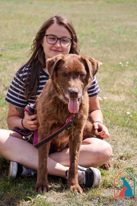 Cudowny Lagos - czekoladowe umaszczenie i serce pełne miłości