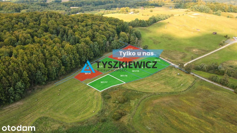 Kompleks 6 działek przy lesie Trzepowo