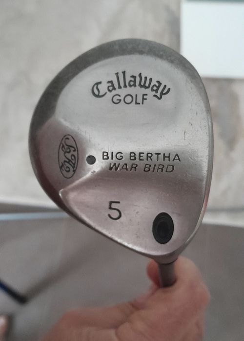 Callaway Big Bertha and Macgregor Golf Irons