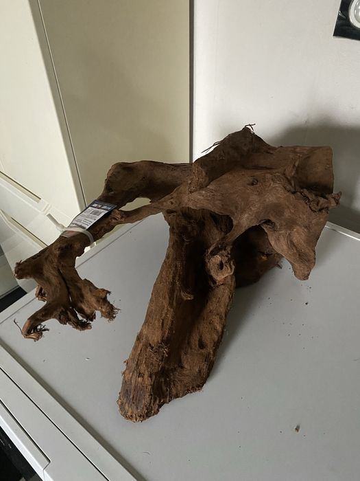 Корень коряга корч пень дерево Мангр с Малайзии