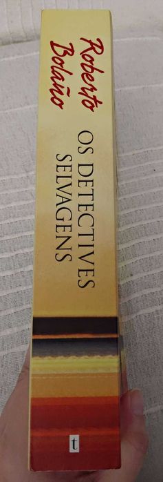 Os Detetives Selvagens - Roberto Bolaño