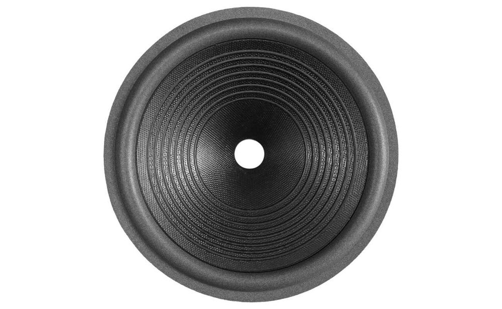 Membrana 25cm / 10" papierowa lakierowana z piankowym zawieszeniem.