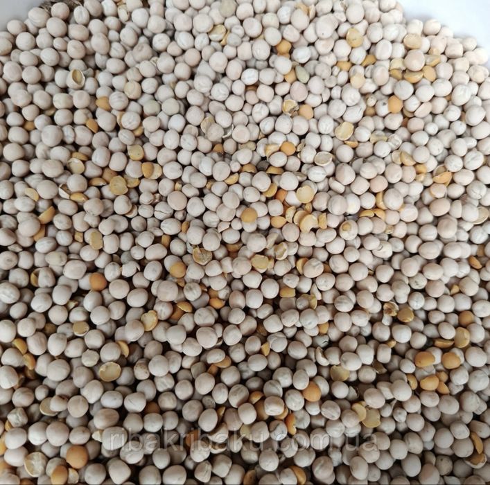 Продається горох