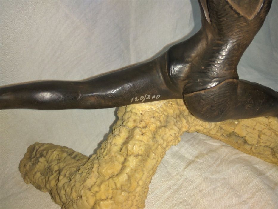 Imagem Artística Bailarina