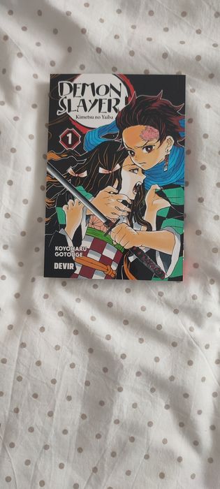 Livro Demon Slayer 1