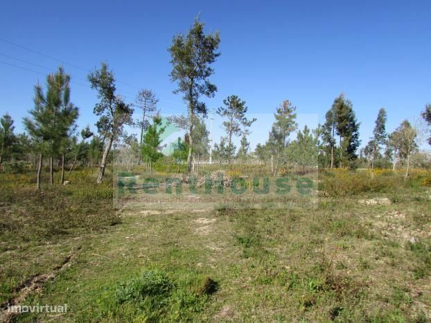 Terreno Para Construção Junto a Coimbra