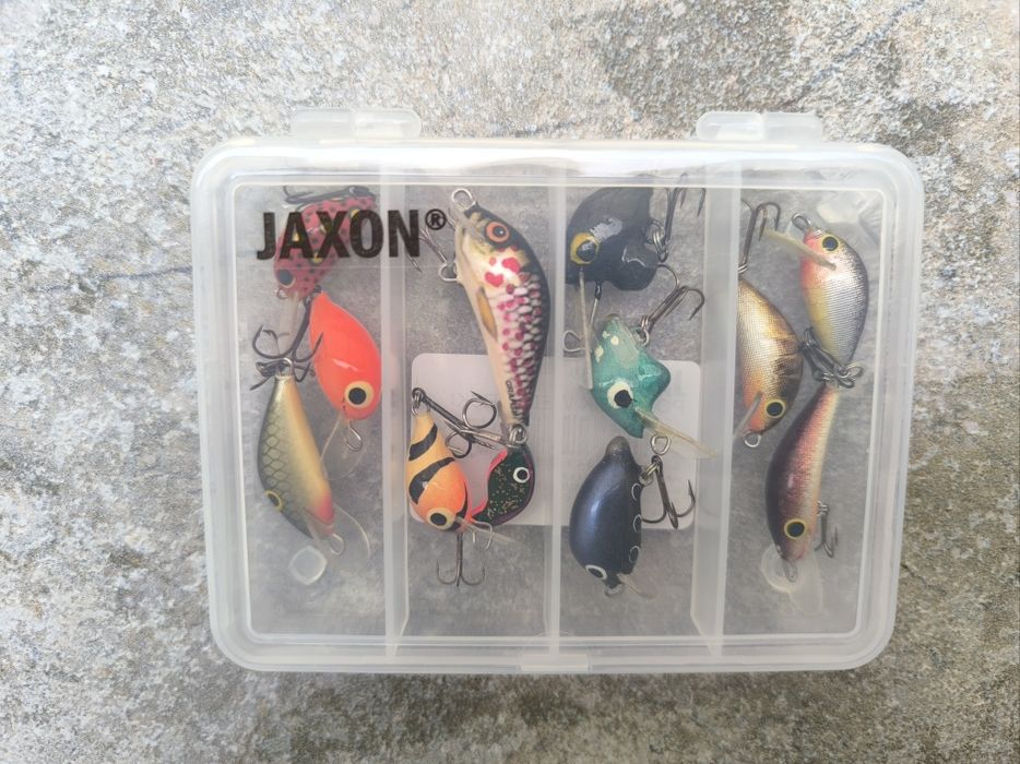 Woblery kleniowo-jaziowe 12 sztuk + pudełko