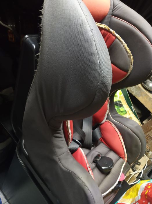 Cadeira auto criança