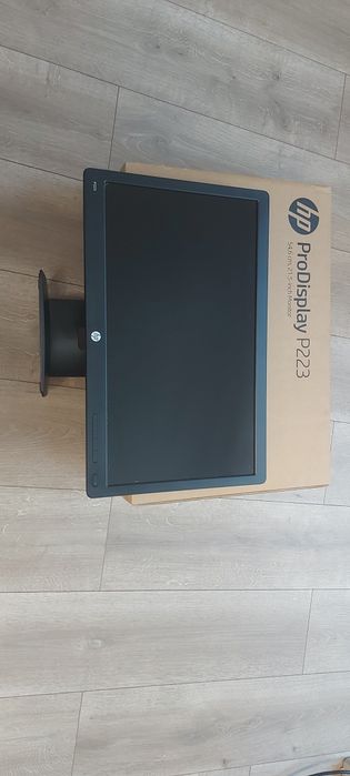 HP ProDisplay P233