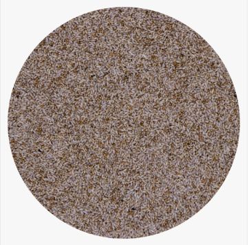 Foniopaddy -nasiona traw 1 kg