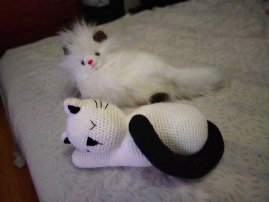 Two Plush Kittens444210249960017921