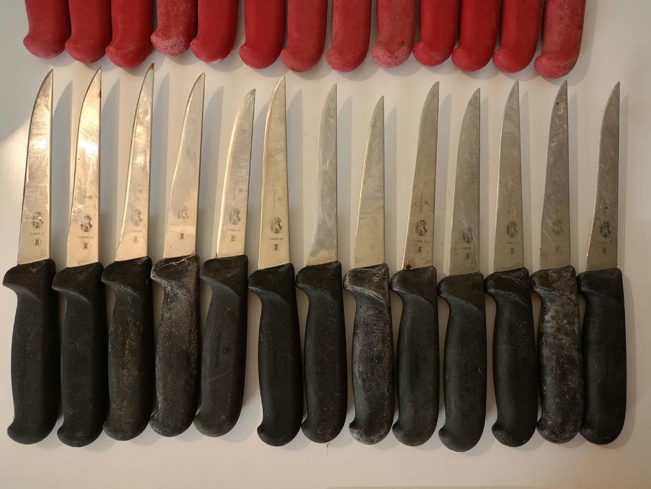 Noże Victorinox masarskie Caribou