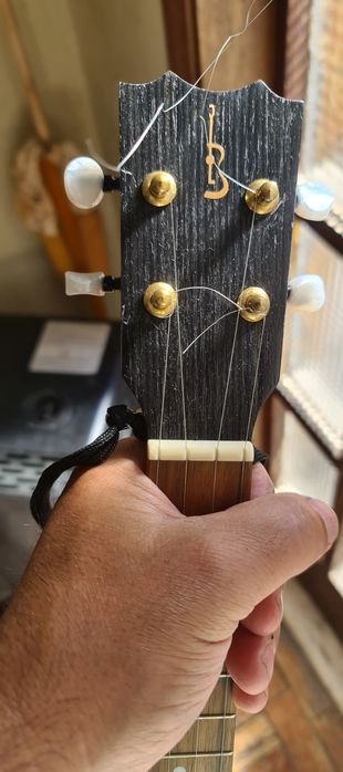 APC Ukulele TS – Standard