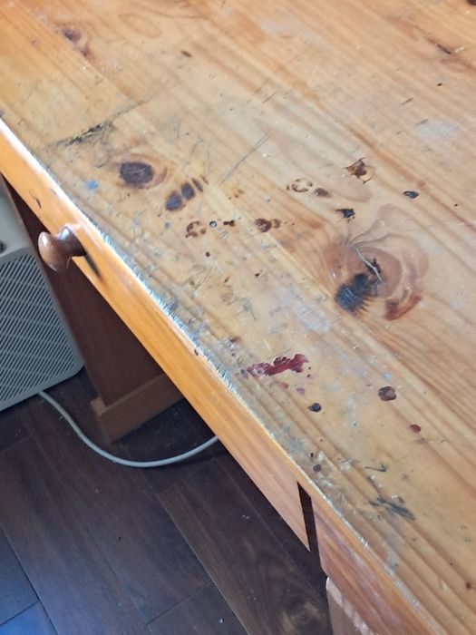 Secretaria americana