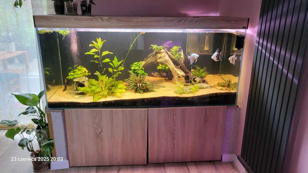 Akwarium 750 l 165x65x70h szkło Guardian