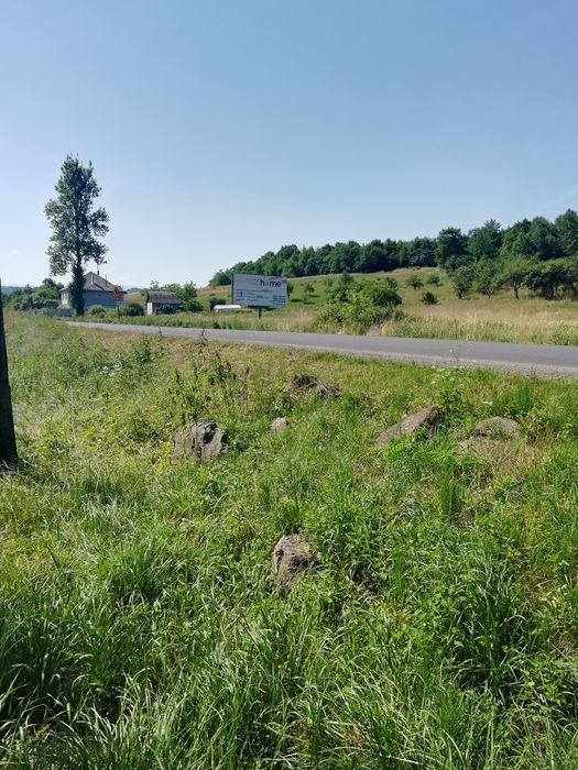 Продається будинок  зв'язку з виїздом за кордон.