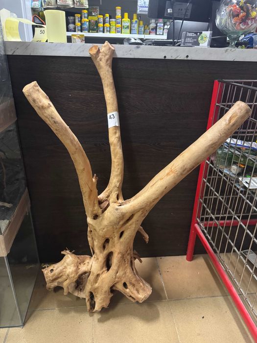 43 Korzeń stump wood XXL do akwarium