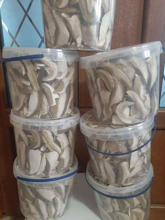 Грибы белые сушеные без песка Закарпатье