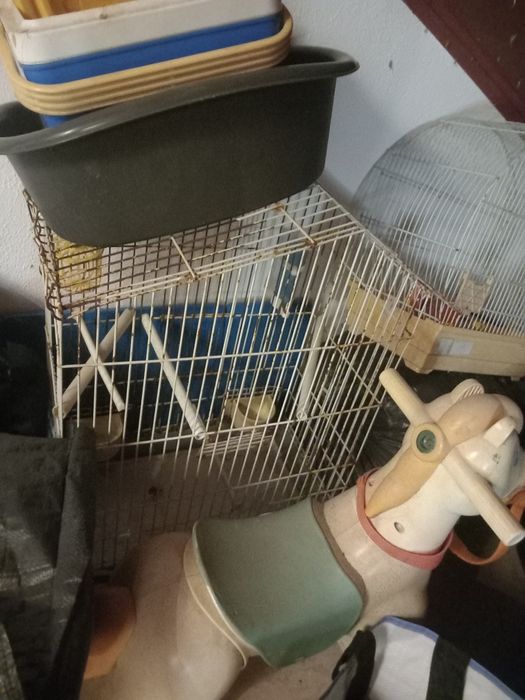 Acessorios Gatos + Gaiolas Aves