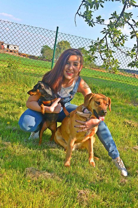 Opieka nad psem, noclegi dla psów