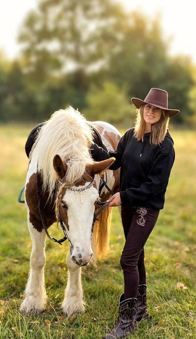 Klacz rasy irish cob 6 lat, zajeżdżona, wysoka 155cm