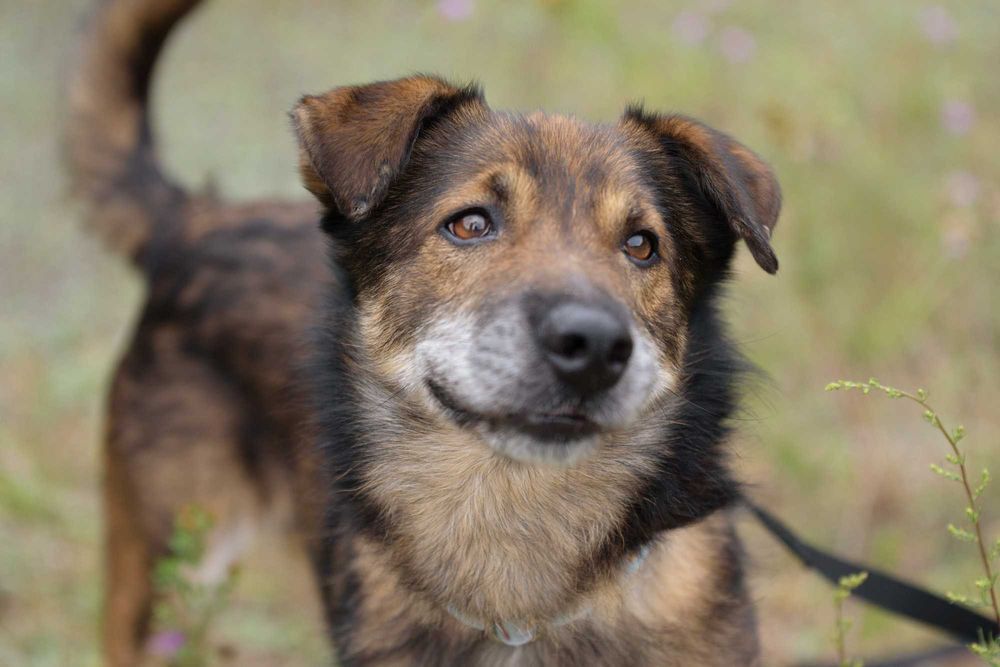 Gary - cudowny, przyjacielski, idealny towarzysz