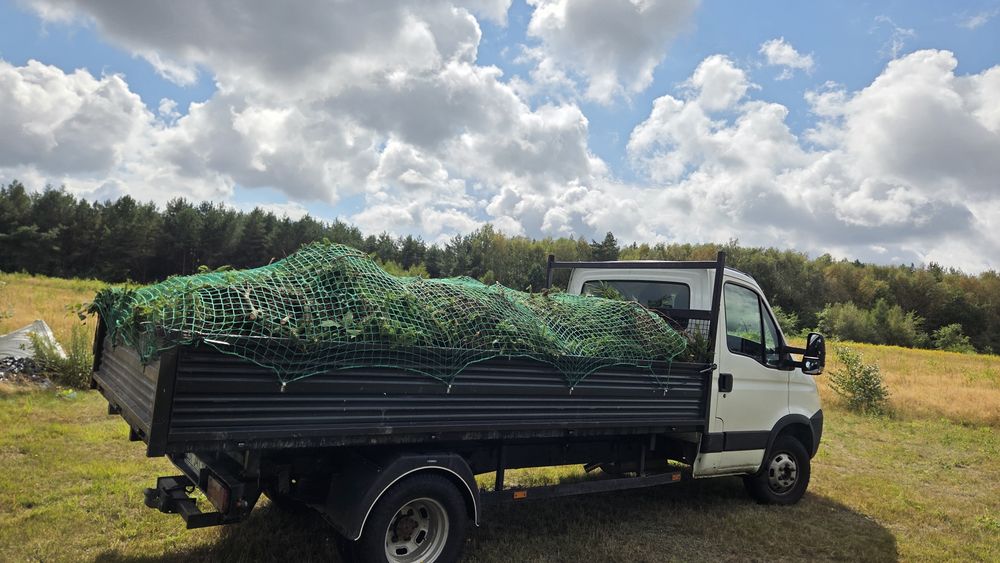 Przycinanie żywopłotów i tui - skracanie, sprzątanie, wywóz