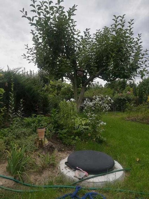 Duża działka ROD Wronki Borek - Widok 3