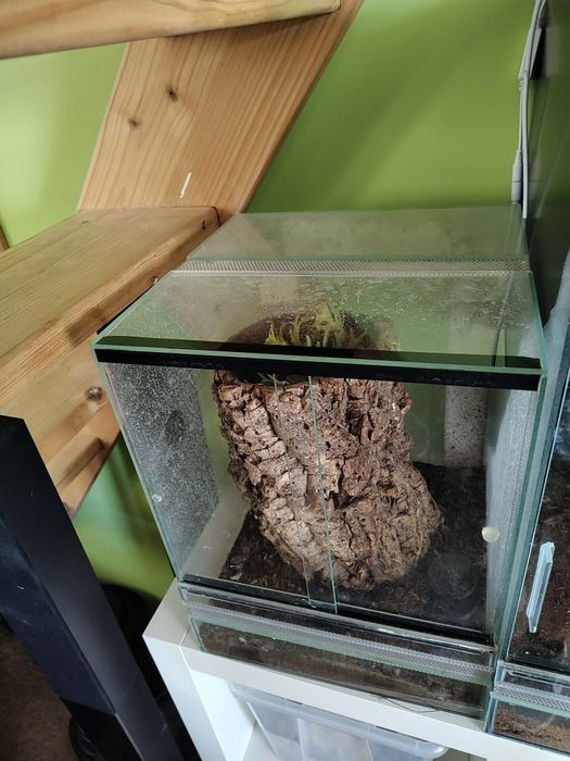 Terrarium szklane 30x30x40