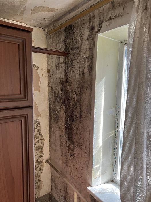 ‼️ПЛЕСЕНЬ Удаление Плесени Грибка Знищення Плісняви Запахів Озоном