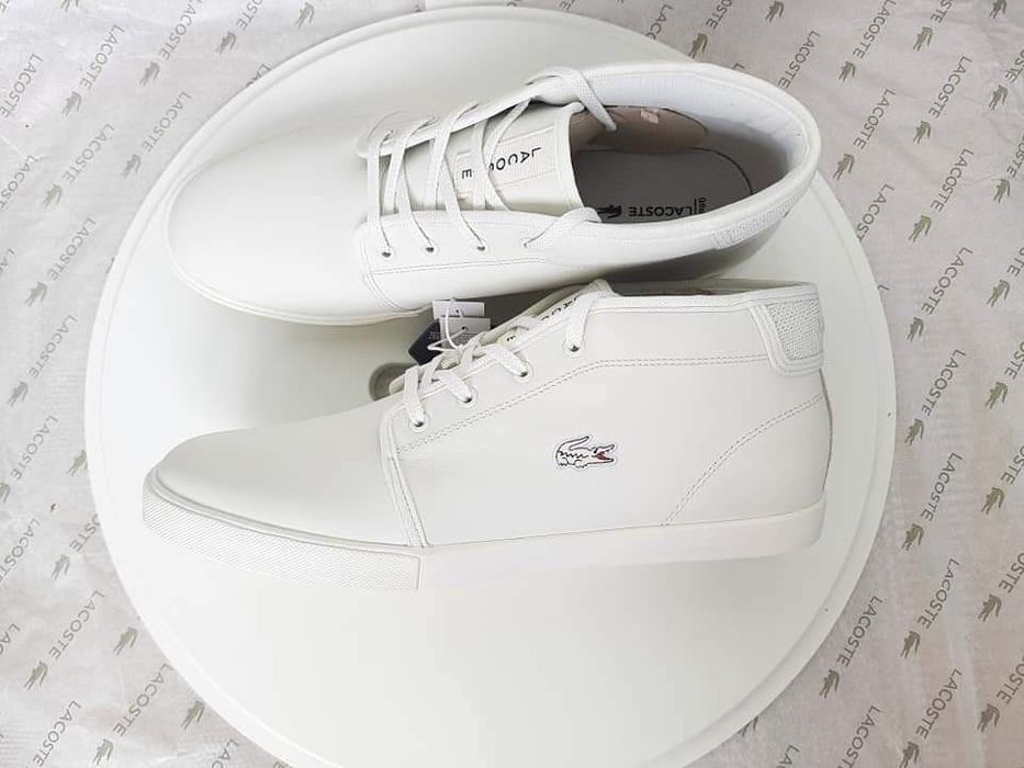 lacoste ampthill 120