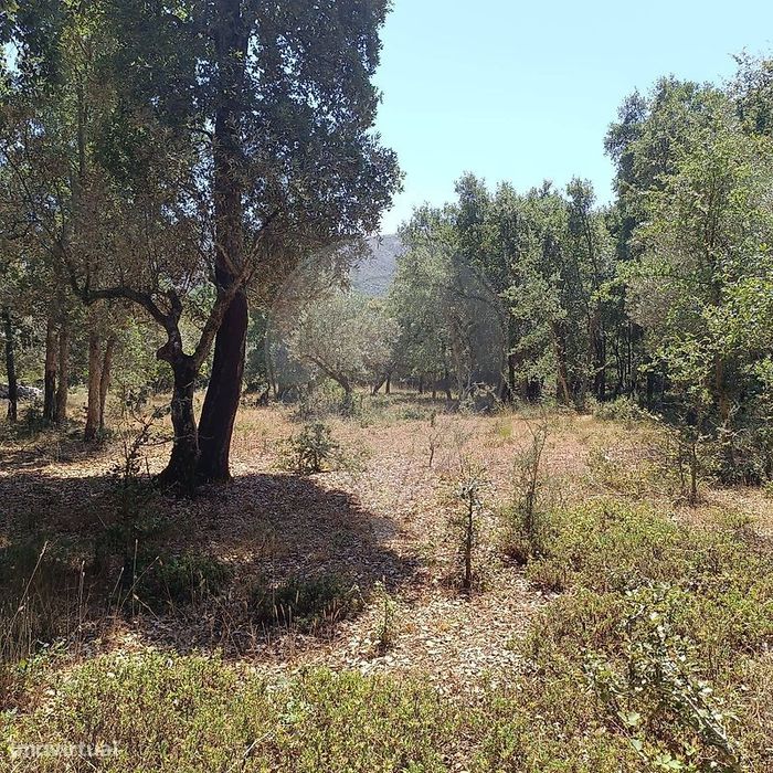 Terreno  para venda