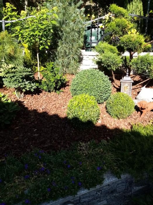 Професійні послуги садівника.