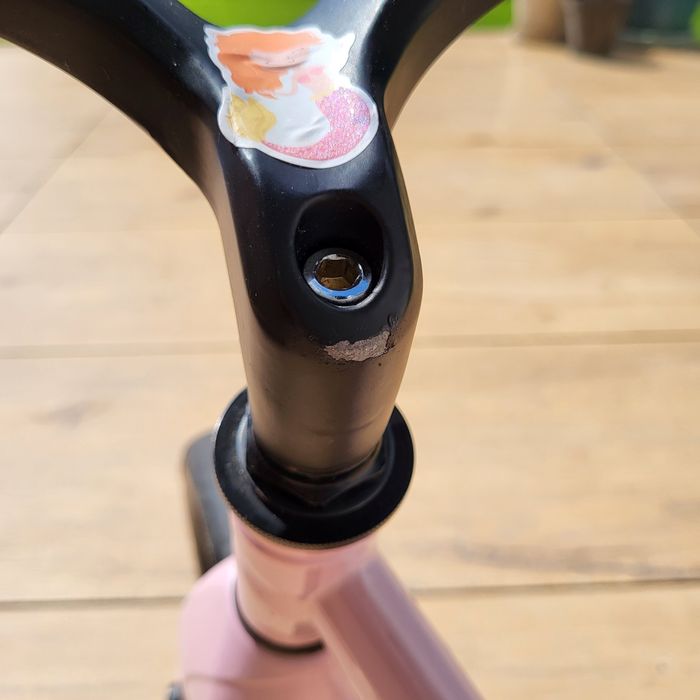 Rowerek biegowy Cariboo Magnesium Pro