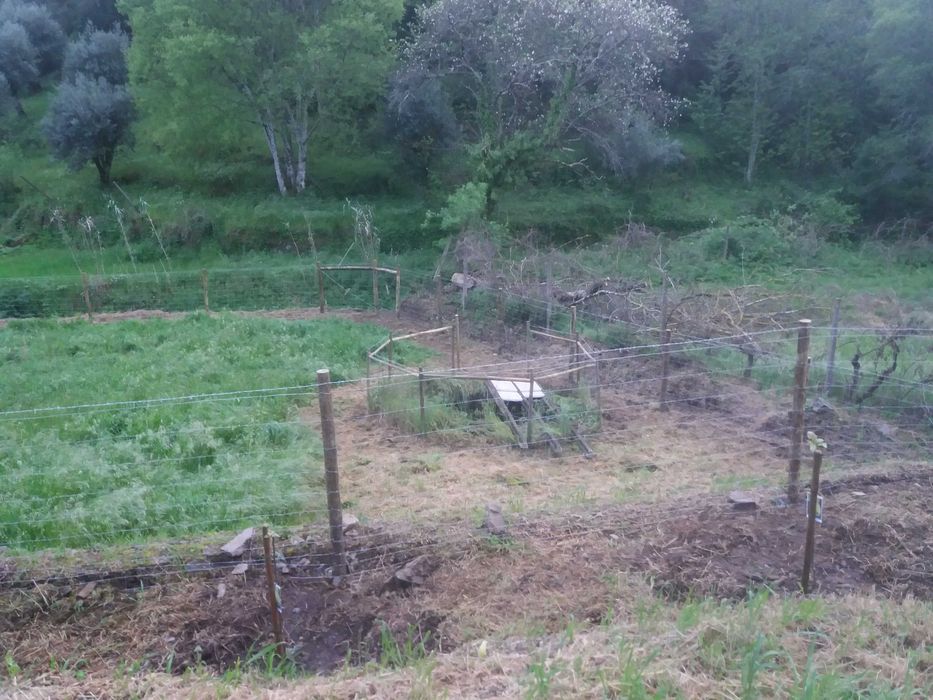 Vedações rede ovelheira e outras