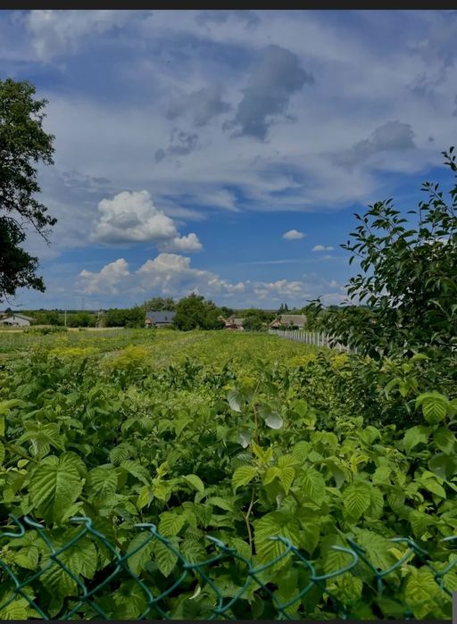 Продається будинок в селі Богдашів