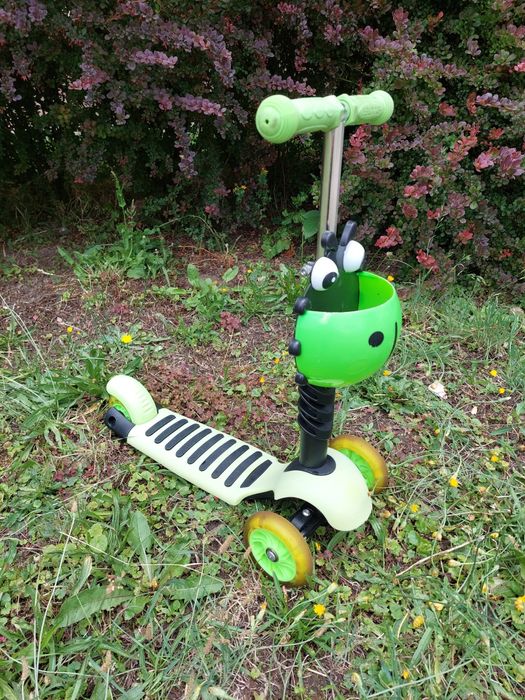 Hulajnoga trójkołowa biedronka